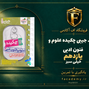 جلد کتاب جیبی چکیده علوم و فنون ادبی یازدهم خیلی سبز | فروشگاه اف آکادمی