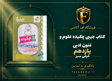 جلد کتاب جیبی چکیده علوم و فنون ادبی یازدهم خیلی سبز | فروشگاه اف آکادمی